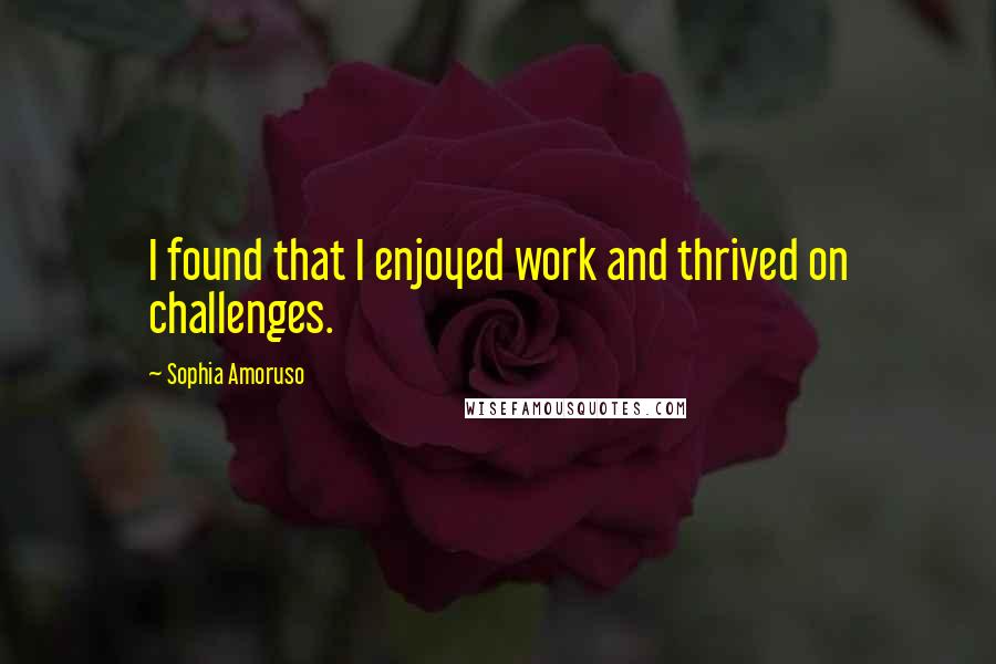 Sophia Amoruso Quotes: I found that I enjoyed work and thrived on challenges.