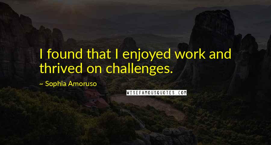 Sophia Amoruso Quotes: I found that I enjoyed work and thrived on challenges.