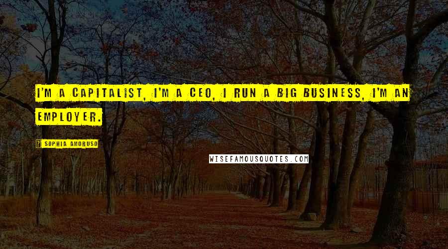 Sophia Amoruso Quotes: I'm a capitalist, I'm a CEO, I run a big business, I'm an employer.