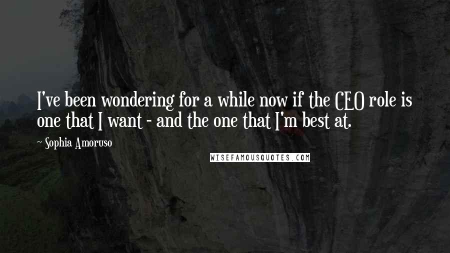 Sophia Amoruso Quotes: I've been wondering for a while now if the CEO role is one that I want - and the one that I'm best at.