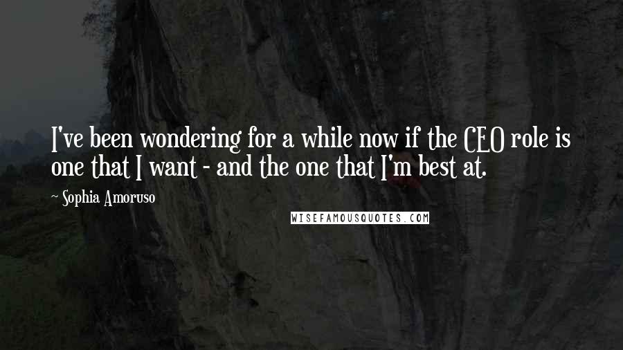 Sophia Amoruso Quotes: I've been wondering for a while now if the CEO role is one that I want - and the one that I'm best at.