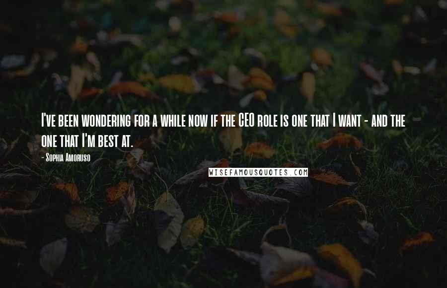 Sophia Amoruso Quotes: I've been wondering for a while now if the CEO role is one that I want - and the one that I'm best at.