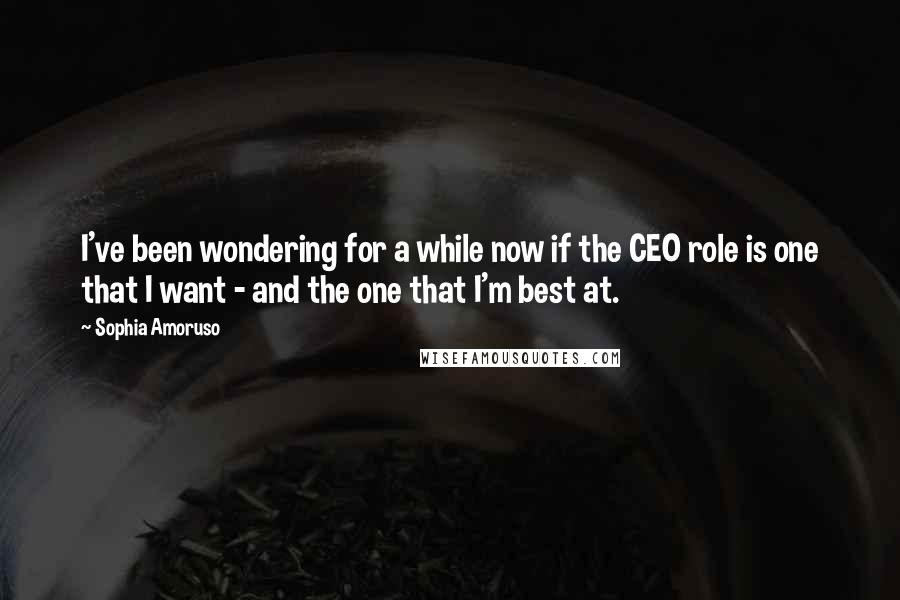 Sophia Amoruso Quotes: I've been wondering for a while now if the CEO role is one that I want - and the one that I'm best at.