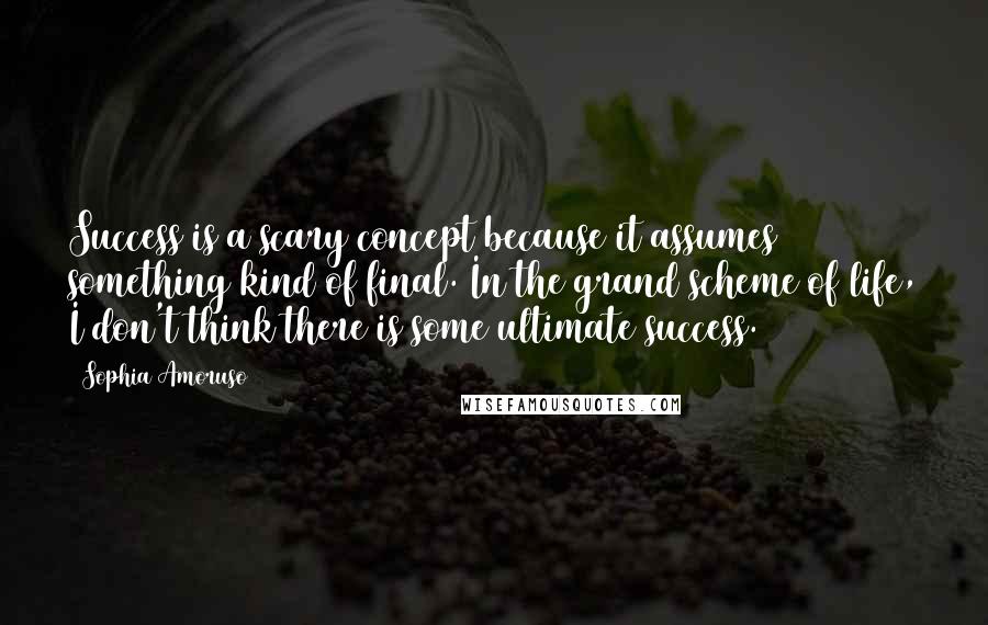 Sophia Amoruso Quotes: Success is a scary concept because it assumes something kind of final. In the grand scheme of life, I don't think there is some ultimate success.