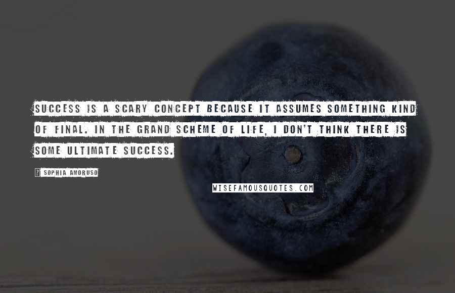 Sophia Amoruso Quotes: Success is a scary concept because it assumes something kind of final. In the grand scheme of life, I don't think there is some ultimate success.