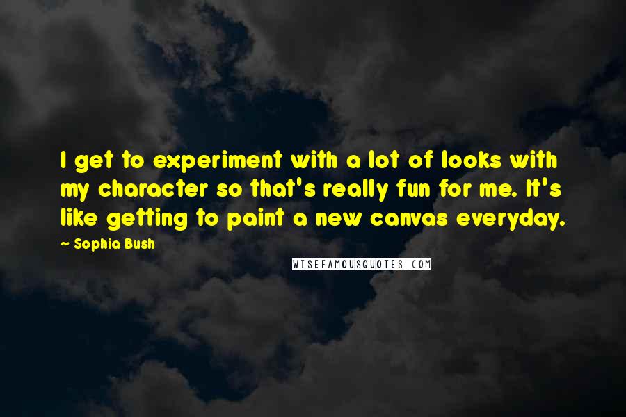 Sophia Bush Quotes: I get to experiment with a lot of looks with my character so that's really fun for me. It's like getting to paint a new canvas everyday.