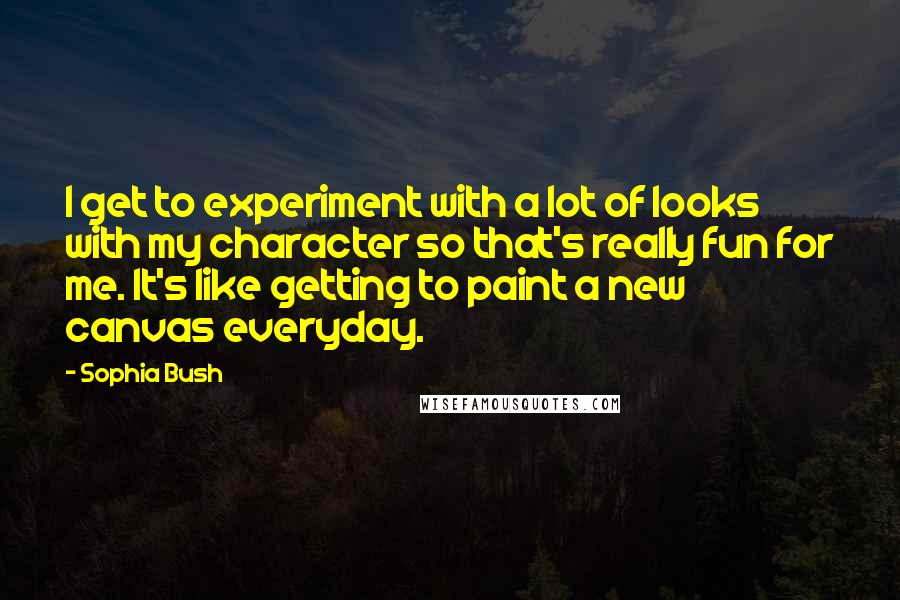 Sophia Bush Quotes: I get to experiment with a lot of looks with my character so that's really fun for me. It's like getting to paint a new canvas everyday.