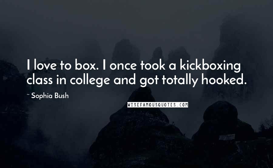 Sophia Bush Quotes: I love to box. I once took a kickboxing class in college and got totally hooked.