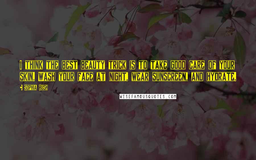 Sophia Bush Quotes: I think the best beauty trick is to take good care of your skin. Wash your face at night, wear sunscreen, and hydrate.