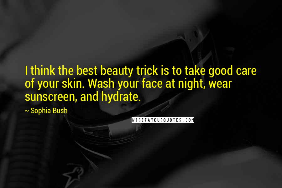 Sophia Bush Quotes: I think the best beauty trick is to take good care of your skin. Wash your face at night, wear sunscreen, and hydrate.