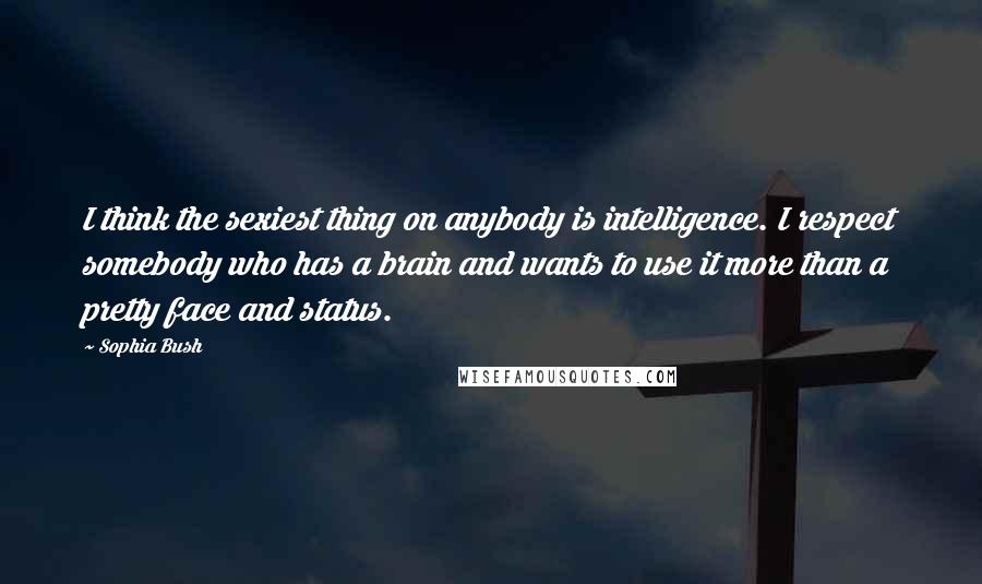 Sophia Bush Quotes: I think the sexiest thing on anybody is intelligence. I respect somebody who has a brain and wants to use it more than a pretty face and status.