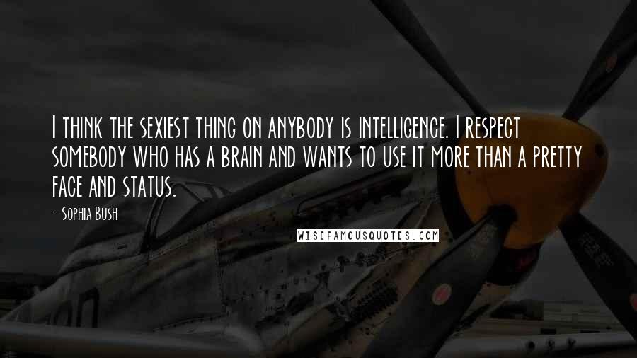 Sophia Bush Quotes: I think the sexiest thing on anybody is intelligence. I respect somebody who has a brain and wants to use it more than a pretty face and status.