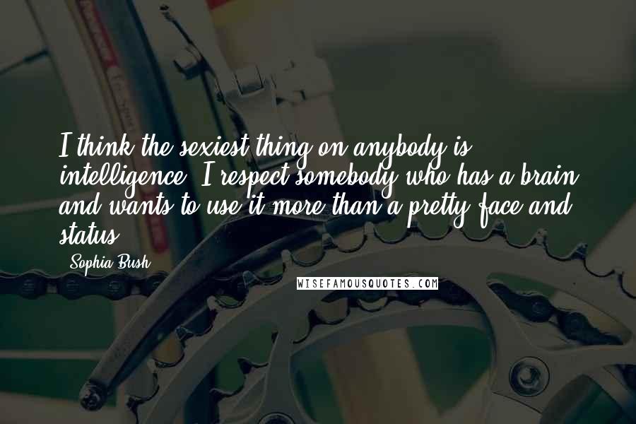 Sophia Bush Quotes: I think the sexiest thing on anybody is intelligence. I respect somebody who has a brain and wants to use it more than a pretty face and status.