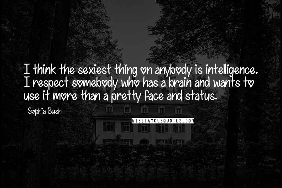 Sophia Bush Quotes: I think the sexiest thing on anybody is intelligence. I respect somebody who has a brain and wants to use it more than a pretty face and status.