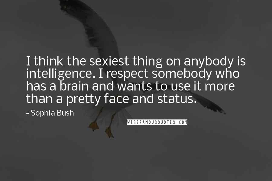 Sophia Bush Quotes: I think the sexiest thing on anybody is intelligence. I respect somebody who has a brain and wants to use it more than a pretty face and status.
