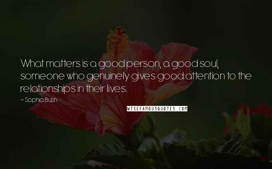 Sophia Bush Quotes: What matters is a good person, a good soul, someone who genuinely gives good attention to the relationships in their lives.