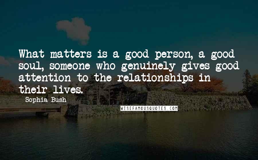 Sophia Bush Quotes: What matters is a good person, a good soul, someone who genuinely gives good attention to the relationships in their lives.