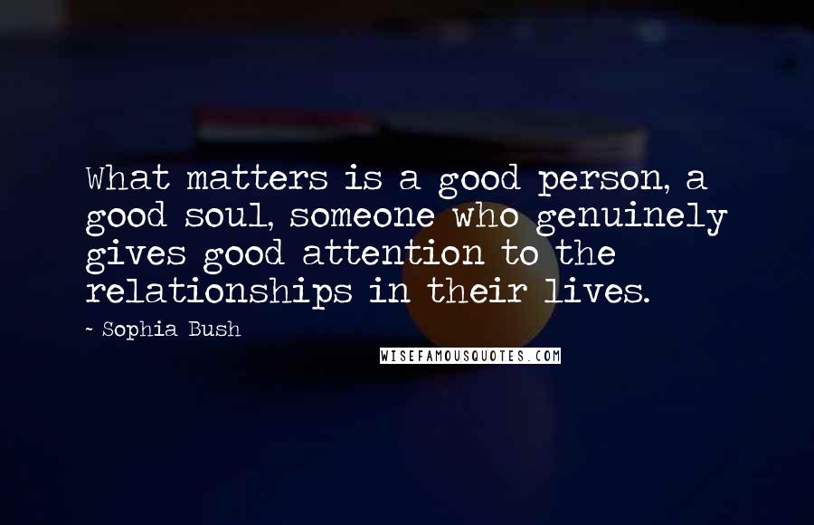 Sophia Bush Quotes: What matters is a good person, a good soul, someone who genuinely gives good attention to the relationships in their lives.