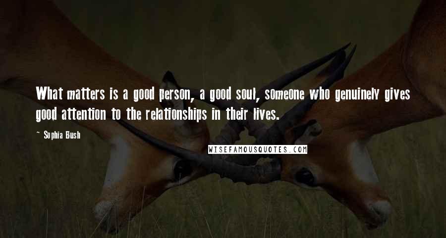 Sophia Bush Quotes: What matters is a good person, a good soul, someone who genuinely gives good attention to the relationships in their lives.