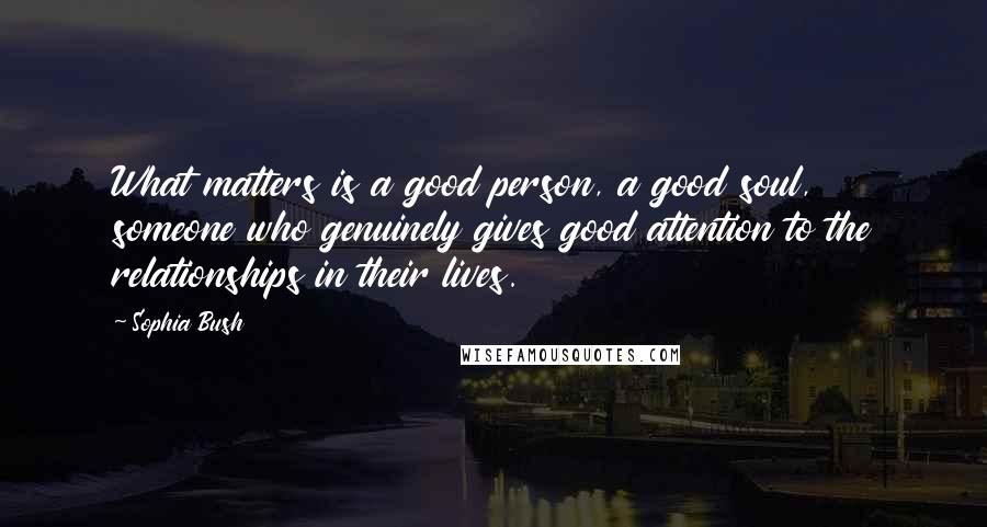 Sophia Bush Quotes: What matters is a good person, a good soul, someone who genuinely gives good attention to the relationships in their lives.