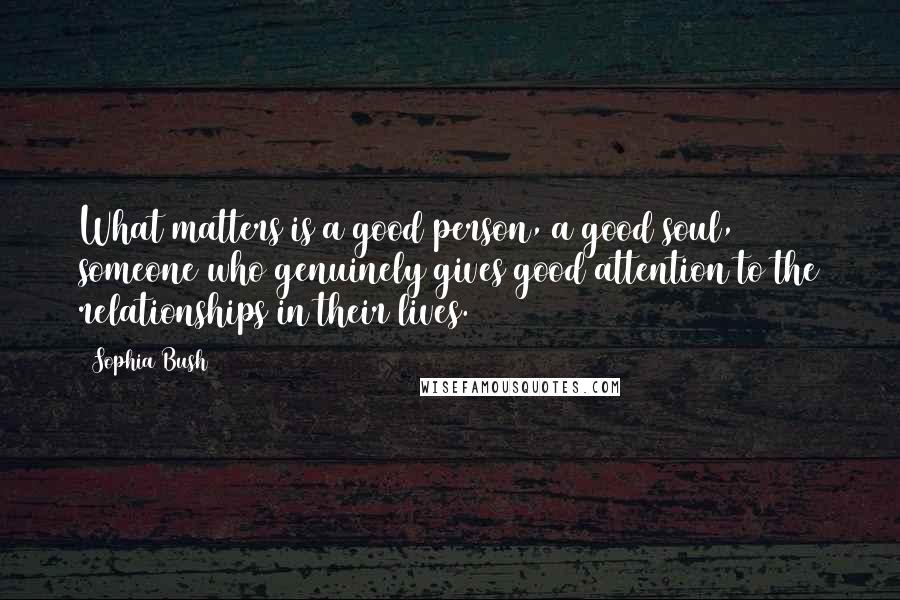 Sophia Bush Quotes: What matters is a good person, a good soul, someone who genuinely gives good attention to the relationships in their lives.