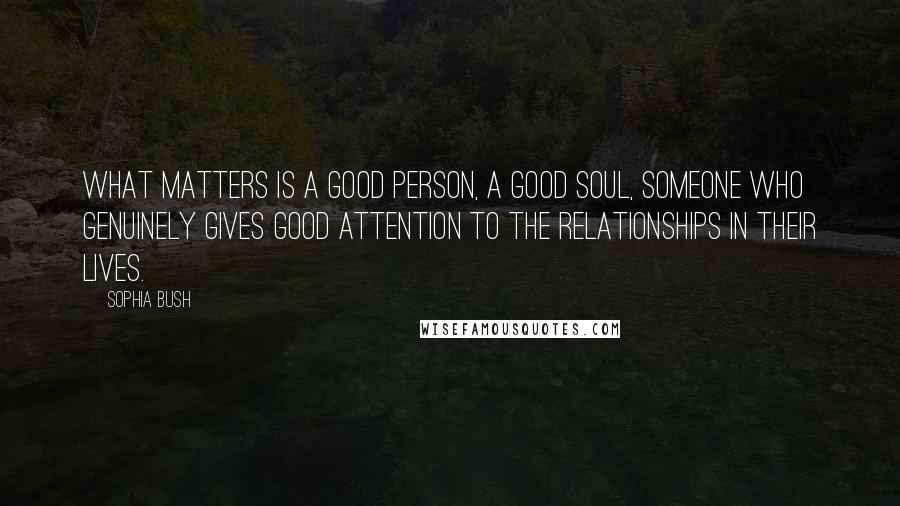 Sophia Bush Quotes: What matters is a good person, a good soul, someone who genuinely gives good attention to the relationships in their lives.