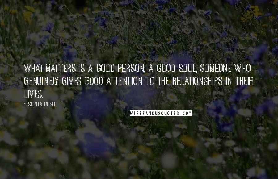 Sophia Bush Quotes: What matters is a good person, a good soul, someone who genuinely gives good attention to the relationships in their lives.