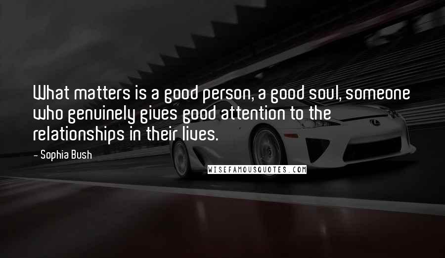 Sophia Bush Quotes: What matters is a good person, a good soul, someone who genuinely gives good attention to the relationships in their lives.