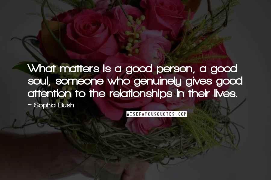 Sophia Bush Quotes: What matters is a good person, a good soul, someone who genuinely gives good attention to the relationships in their lives.