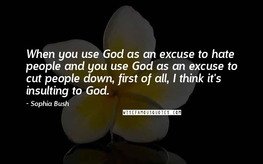 Sophia Bush Quotes: When you use God as an excuse to hate people and you use God as an excuse to cut people down, first of all, I think it's insulting to God.