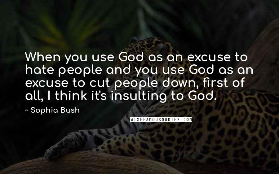 Sophia Bush Quotes: When you use God as an excuse to hate people and you use God as an excuse to cut people down, first of all, I think it's insulting to God.