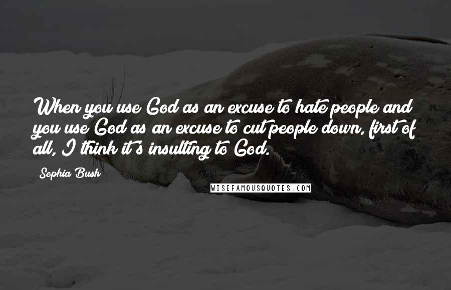 Sophia Bush Quotes: When you use God as an excuse to hate people and you use God as an excuse to cut people down, first of all, I think it's insulting to God.