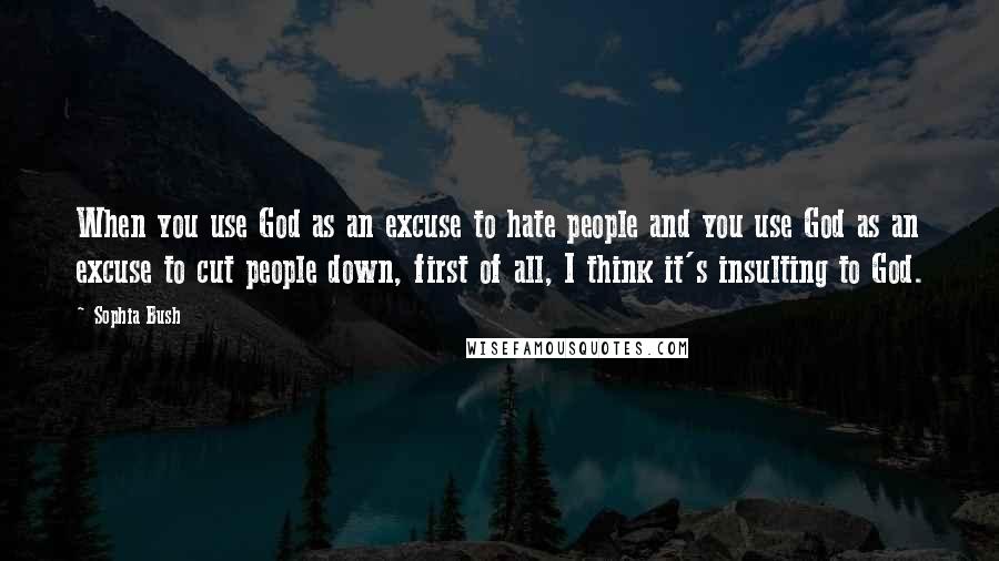 Sophia Bush Quotes: When you use God as an excuse to hate people and you use God as an excuse to cut people down, first of all, I think it's insulting to God.