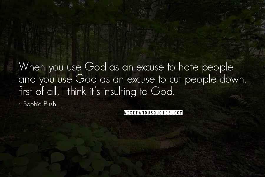 Sophia Bush Quotes: When you use God as an excuse to hate people and you use God as an excuse to cut people down, first of all, I think it's insulting to God.