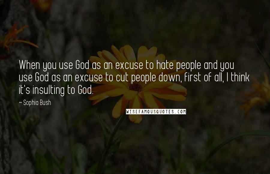 Sophia Bush Quotes: When you use God as an excuse to hate people and you use God as an excuse to cut people down, first of all, I think it's insulting to God.