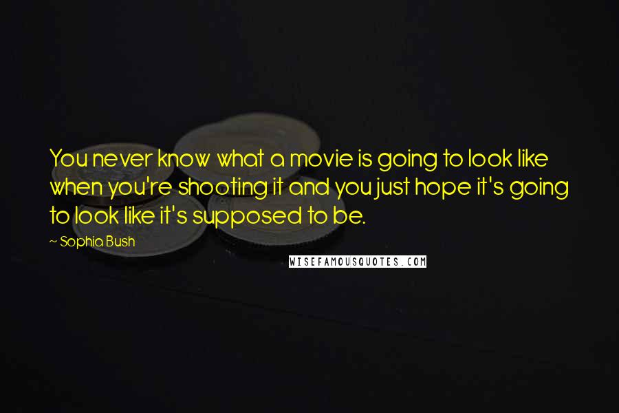 Sophia Bush Quotes: You never know what a movie is going to look like when you're shooting it and you just hope it's going to look like it's supposed to be.