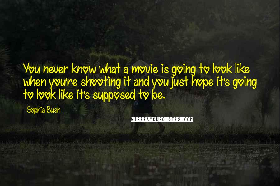 Sophia Bush Quotes: You never know what a movie is going to look like when you're shooting it and you just hope it's going to look like it's supposed to be.