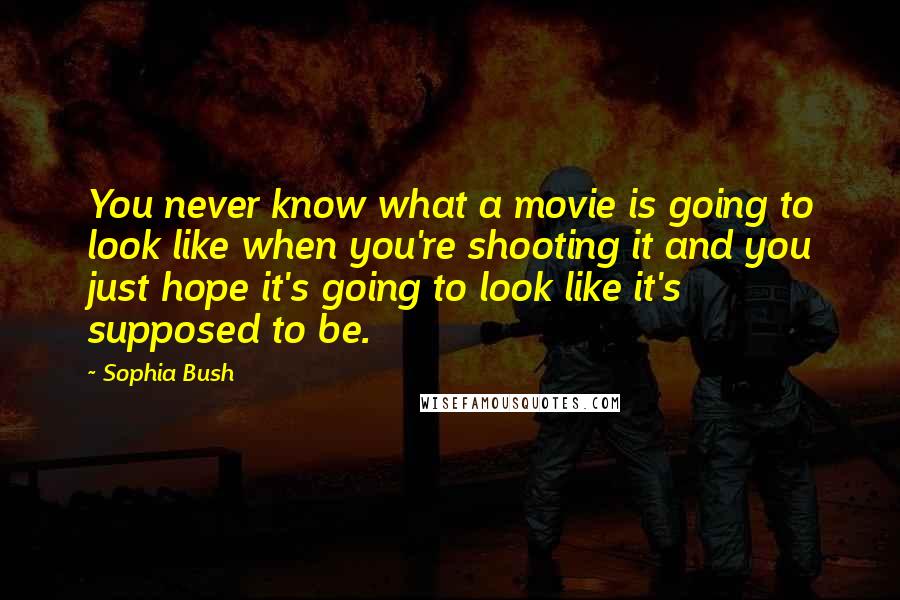 Sophia Bush Quotes: You never know what a movie is going to look like when you're shooting it and you just hope it's going to look like it's supposed to be.