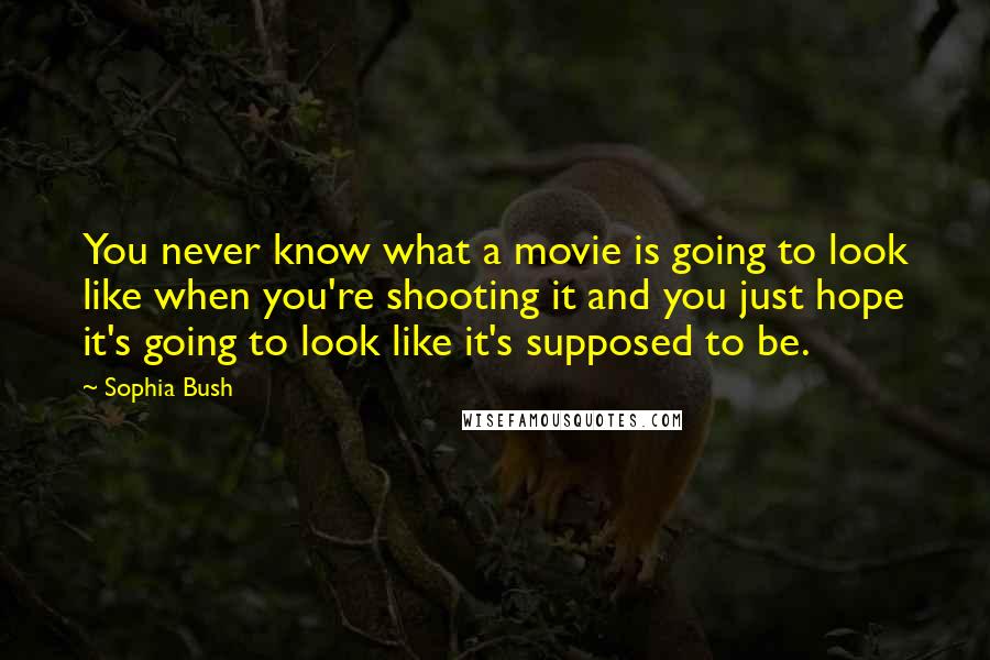 Sophia Bush Quotes: You never know what a movie is going to look like when you're shooting it and you just hope it's going to look like it's supposed to be.