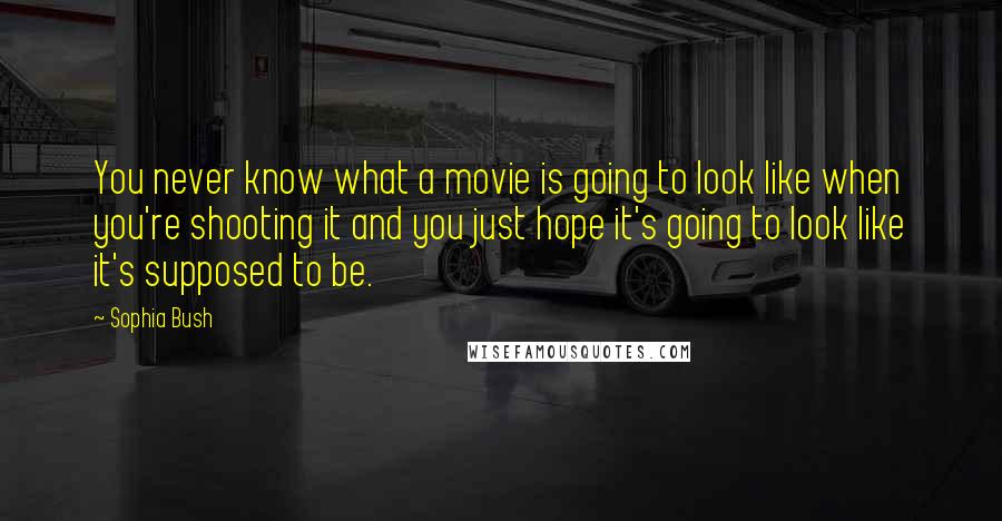 Sophia Bush Quotes: You never know what a movie is going to look like when you're shooting it and you just hope it's going to look like it's supposed to be.