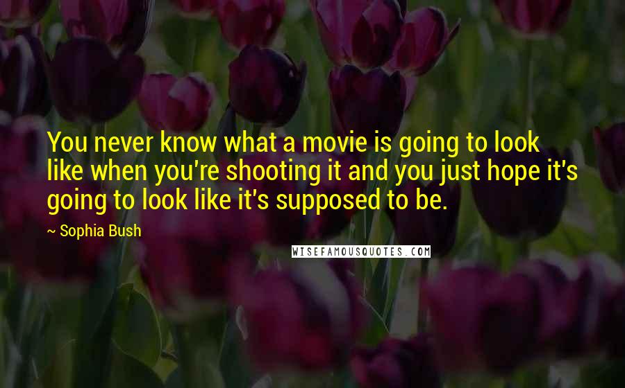 Sophia Bush Quotes: You never know what a movie is going to look like when you're shooting it and you just hope it's going to look like it's supposed to be.