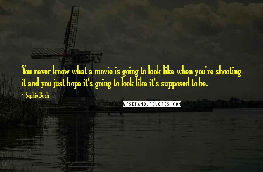 Sophia Bush Quotes: You never know what a movie is going to look like when you're shooting it and you just hope it's going to look like it's supposed to be.