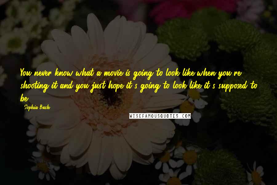 Sophia Bush Quotes: You never know what a movie is going to look like when you're shooting it and you just hope it's going to look like it's supposed to be.