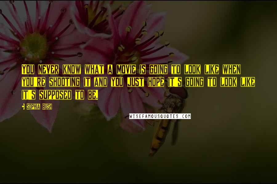 Sophia Bush Quotes: You never know what a movie is going to look like when you're shooting it and you just hope it's going to look like it's supposed to be.