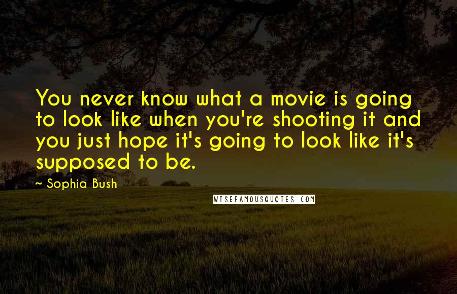 Sophia Bush Quotes: You never know what a movie is going to look like when you're shooting it and you just hope it's going to look like it's supposed to be.