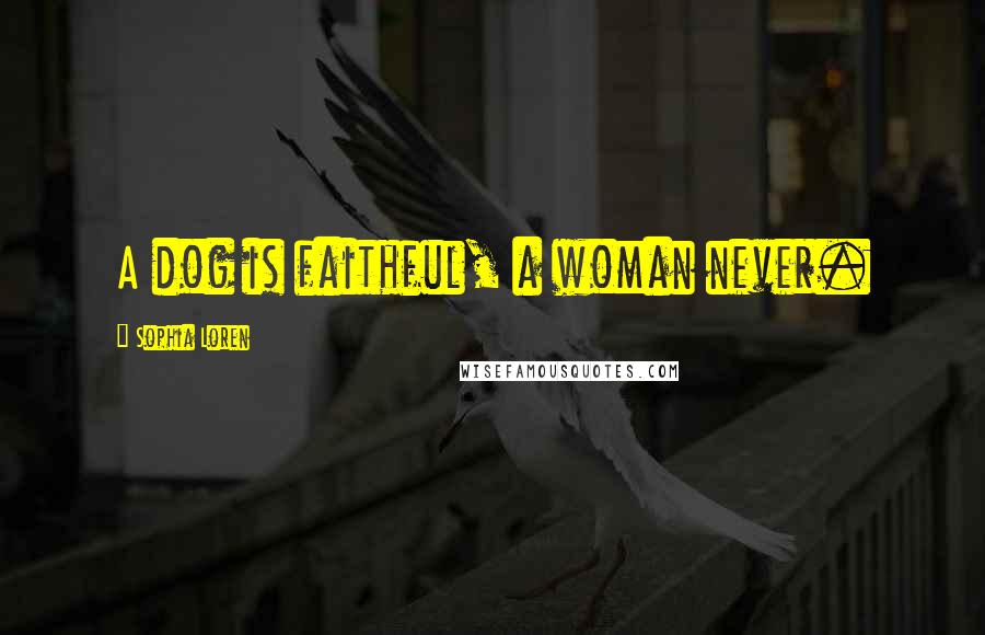 Sophia Loren Quotes: A dog is faithful, a woman never.