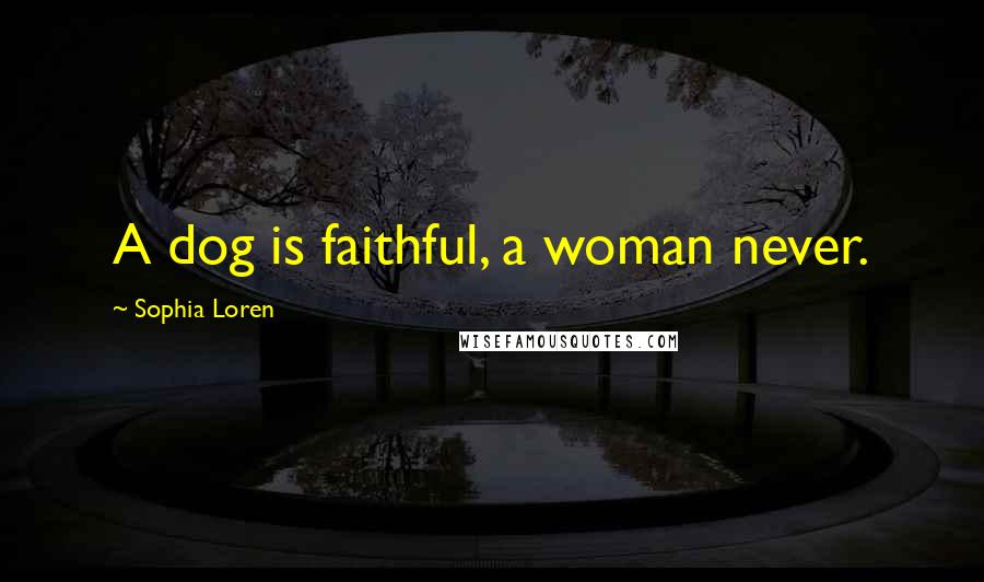 Sophia Loren Quotes: A dog is faithful, a woman never.