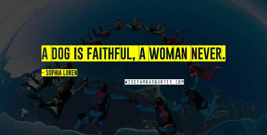 Sophia Loren Quotes: A dog is faithful, a woman never.