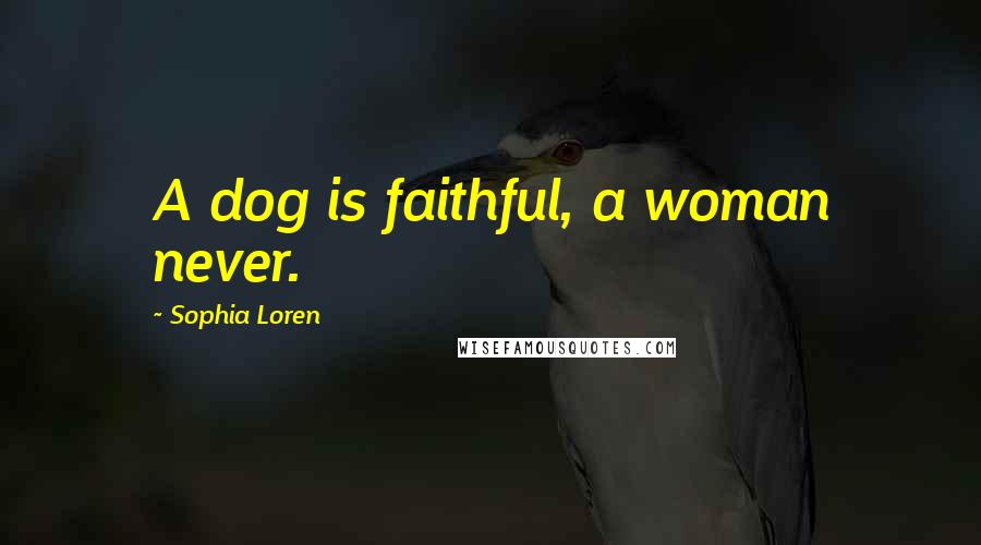 Sophia Loren Quotes: A dog is faithful, a woman never.