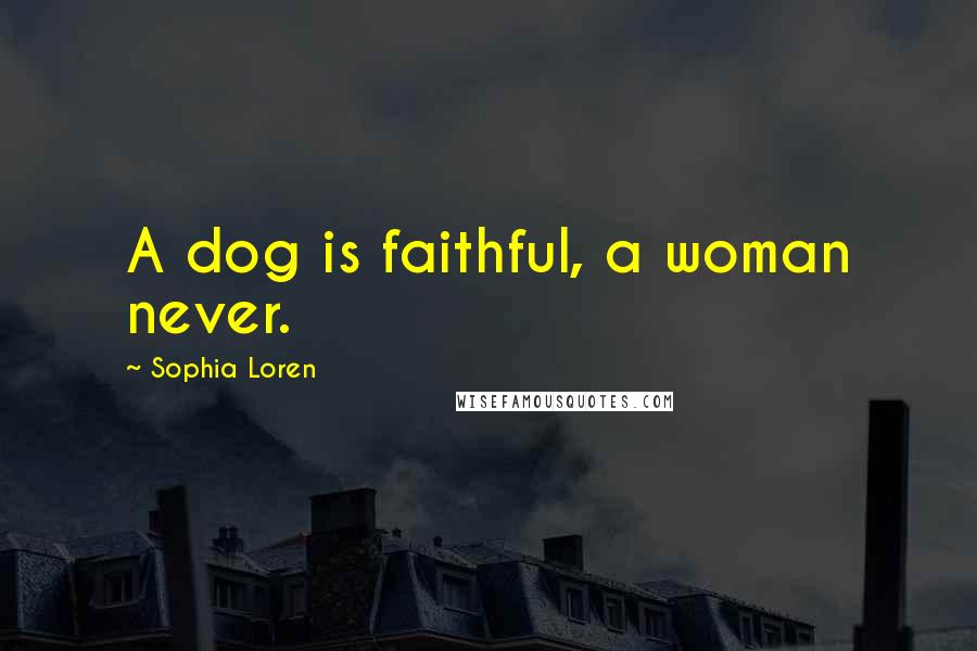 Sophia Loren Quotes: A dog is faithful, a woman never.
